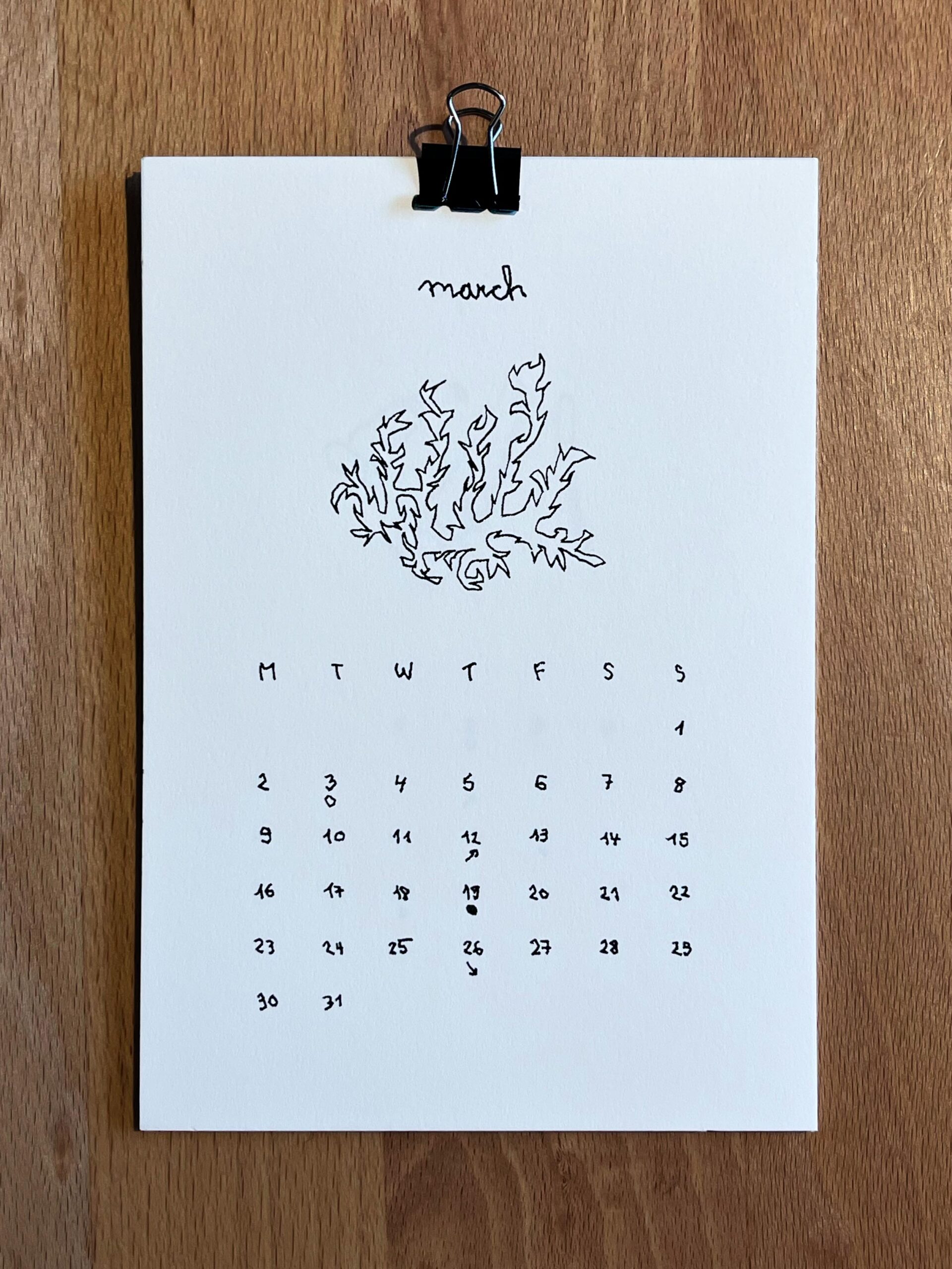 EAZY (elie zoé) - Calendar 2026 - CALENDAR - Image 3