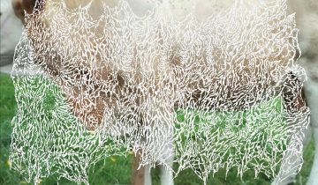 BEURRE – Oxt to Anyone – DIGITAL DOWNLOAD