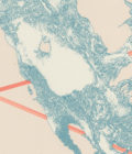 CONVULSIF - "Extinct" - CD - Image 4