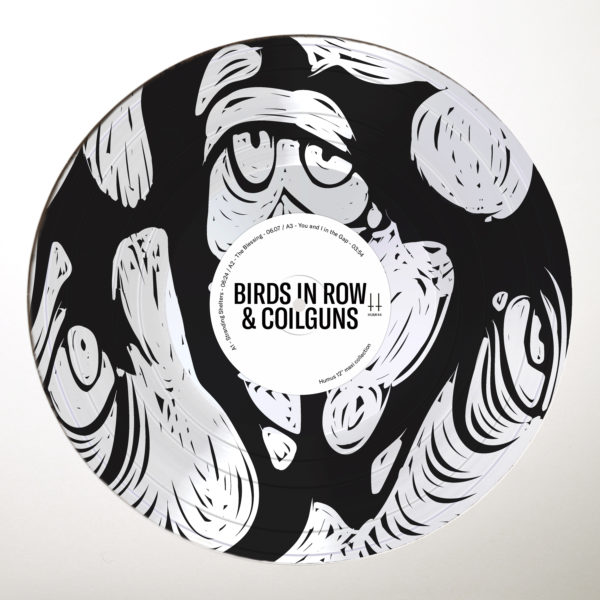 BIRDS IN ROW & COILGUNS - You and I in the Gap - DOWNLOAD