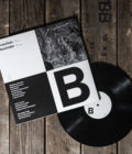 THE FAWN - Branches - LP - Image 2