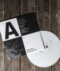 THE FAWN - Branches - LP - Image 3