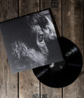 KILLBODY TUNING - Pictorial - LP - Image 8