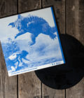 CLOSET DISCO QUEEN - Sexy Audio Deviance for Punk Bums - LP - Image 4