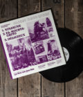CLOSET DISCO QUEEN - Sexy Audio Deviance for Punk Bums - LP - Image 8