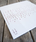 COILGUNS - Commuters - TESTPRESS - Image 2