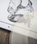COILGUNS - EP [2011 / 2012] - LP - Image 6