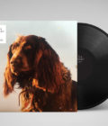 PETER KERNEL - The Size of the Night - LP - Image 2