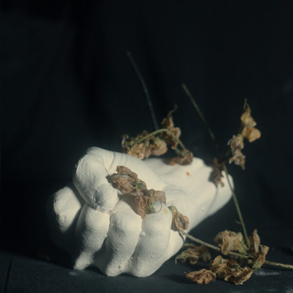 Pain Magazine / pre-orders are open