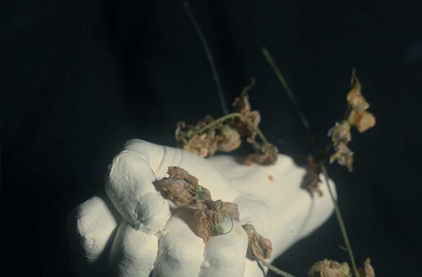 Pain Magazine / pre-orders are open