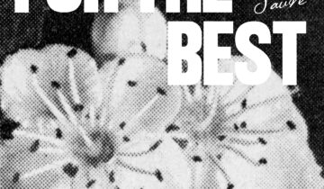 QUENTIN SAUVÉ – FOR THE BEST